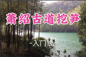 转发半价！成团！周六4.4破晓领队【宜山+松江上车-萧绍古道挖笋】| 依山傍水寻春笋・竹林秘境挖鲜行