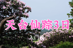 已成团！五一769元起！5.2-4【天台仙踪3日】谦和领队！赏华顶云锦杜鹃，国清寺千年古刹禅意，徒步”高山沙漠“