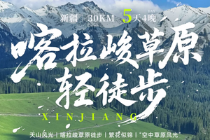 6.14/16/21成行【喀拉峻草原轻徒步5天】5-7月：八卦城+草原花海+雪岭云杉+空中草原+恰甫其海5日活动
