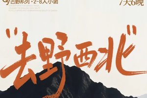 6.12成团【去野！西北7天】2-8人小团！2026超高性价比首选出游方式，经典丝路环线走法