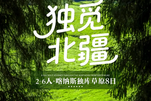【独觅北疆8日】6-9月：2-6人团！喀纳斯独库草原之旅