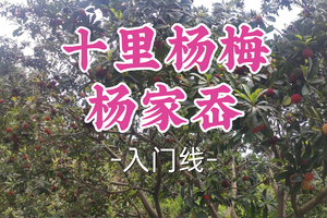 即将成团！89元起！周六6.20【宜山+松江上车-十里杨梅·杨家岙】| 徒步寻山野乐趣，品初夏杨梅