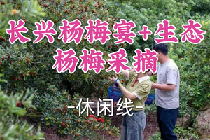 已成团！99元起！周日6.14和平领队【世纪+宜山上车-长兴杨梅宴+生态杨梅采摘】|舌尖上的杨梅季：长兴宴席+果园采摘