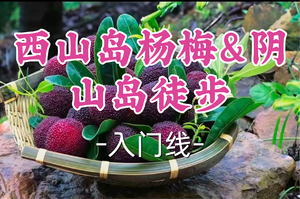 2车已成团！新线！69元起！周六6.20和平领队【世纪上车-西山岛杨梅&阴山岛徒步】| ​从枝头甜意到徒步清风
