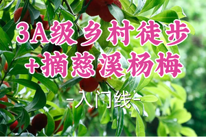 即将成团！89元起！周六6.20【世纪上车-3A级乡村徒步+摘慈溪杨梅】|漫步山野古道，畅享慈溪梅香