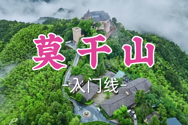 本周免单！【宜山路上车-莫干山】周日3.23|探秘蒋公道，穿行竹海幽径