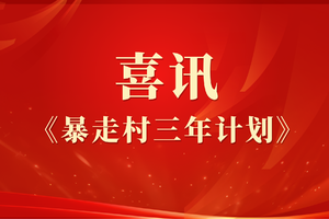【暴走村三年计划】