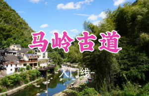 2车已成团！89元起！周日5.3光光领队【龙阳路+莘庄上车-马岭古道12公里】|穿越美丽如画乡村，体验山水田园生活