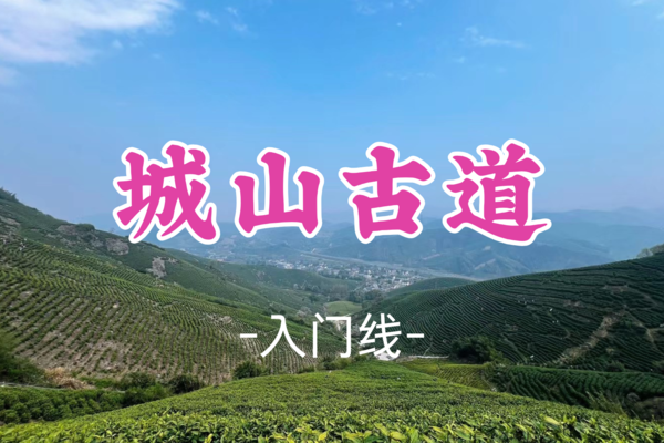 成团！新线！79元起！【宜山路上车-城山古道】周六3.15|爬竹林探茶山（环线）
