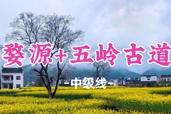 即将成团！359元起！【 最美乡村婺源3日游】4.4-6| 五岭为径，尽览篁岭江湾盛景！