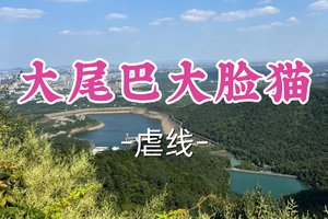 即将成团！89元起！周三4.8多利安领队【宜山+松江上车-大尾巴大脸猫】| 小众原始，适合老驴强驴，越野跑拉练备赛！