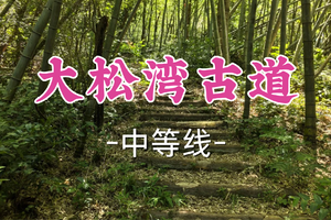 转发半价！成团！周日4.5艾玛领队【世纪上车-大松湾古道】|浙江小乌孙：水陆穿行的秘境之旅！