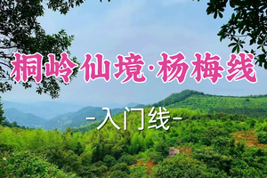 即将成团！89元起！周五6.19【世纪上车-桐岭仙境杨梅线】| 穿越千年桐岭仙境！登慈溪第一峰“踏脑岗”