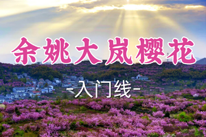 转发半价！成团！周日4.5句号领队【世纪上车-大岚樱花】|万亩晚樱交织茶田，邂逅火焰山别样风光！