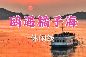 即将成团！89元起！周四12.18茂茂领队！【宜山上车-鸥遇橘子海】|鼋头渚观红嘴鸥，漫游惠山古镇