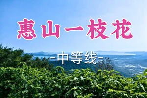 成团！69元起！周三12.17多利安领队！【世纪上车-惠山一枝花18公里】|无锡惠山“一枝花”，经典越野路线！