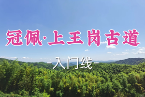 2车即将成团！89元起！周二5.5【嘉定+青浦上车-冠佩·上王岗古道】|浙东”野生版九溪十八涧"!