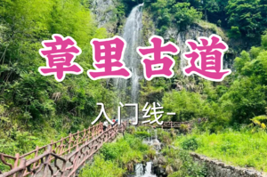 成团！89元起！年初六2.22木子领队【宜山+松江上车-章里古道8公里】|徒步安吉竹林秘境章里古道