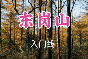 转发半价！即将成团！周六12.20【宜山+松江上车-东岗山11公里】|华东“挪威的森林”