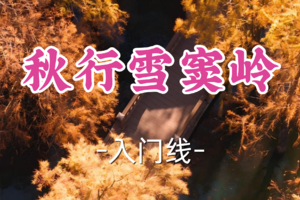 即将成团！89元起！周四12.18飞猪领队【宜山上车-秋行雪窦岭7公里】| 绍兴秋日天花板：私藏于古道的红杉奇石阵