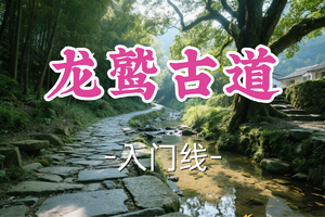 2车即将成团！89元起！周一5.4【汶水路+顾村上车-龙鹫古道】| 浙江版"小九寨沟",深山里的天然绿色氧吧