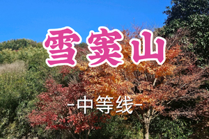 转发半价！2车成团！周日12.14大风领队【嘉定+青浦上车-雪窦山】| 漫步雪窦山古道，赏四明山层林尽染的限定秋色！