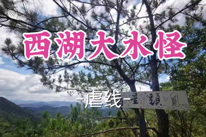 转发半价！即将成团！周六12.20【世纪上车-西湖大水怪25公里】|西湖画线徒步：林荫庇护，安全下撤