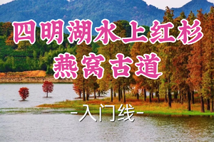 转发半价！2车即将成团！周六12.20【嘉定+青浦上车-四明湖燕窝古道7公里】|赏浙东“喀纳斯”四明湖水上红衫林