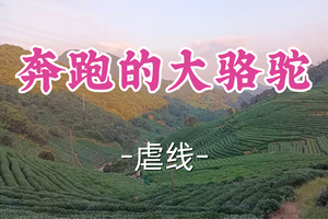 转发半价！成团！周一4.6多利安领队【宜山上车-奔跑的大骆驼24公里】| 画图形大环线，线路原始小众极具挑战。