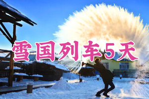 每期成团！【雪国列车深度纯玩5天】11-2月：北极村+北红村+圣诞村+龙江第一湾+中国最北点+白桦林