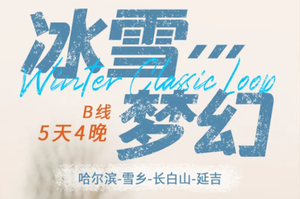 元旦12.30/1【冰雪梦幻B线5天】11-2月/春节：2-8人团亚雪公路+童话雪乡+滑雪+冰雪画廊+长白山+延吉+温泉