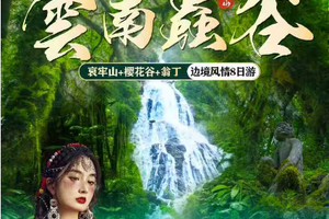【云南虫谷8日】12-1月：昆明-哀牢山-无量山樱花谷-沧源翁丁-千年崖画-龙摩爷-孟连-老达保-景迈山樱花-版纳