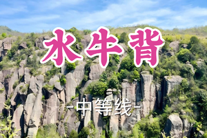 即将成团！89元起！周二4.7孤旅领队【宜山+松江上车-水牛背7公里】|行走山脊线，穿越水牛背