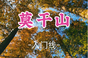 转发半价！2车成团！周日12.14【汶水路+顾村上车-莫干山10公里】|探秘蒋公道，穿行竹海幽径