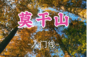 1车即将成团！89元起！周二5.5康康领队【宜山+松江上车-莫干山10公里】|探秘蒋公道，穿行竹海幽径