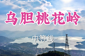 转发半价！成团！周日12.21小白领队！【宜山+松江上车-乌胆桃花岭】|逢村正觉适，两上桃花岭，八仙堂下客，无胆向天