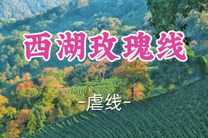 即将成团！79元起！周日3.1【宜山上车-西湖玫瑰线24公里】|‌‌用脚步绘就西湖玫瑰，让群山见证永恒浪漫