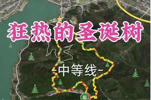 转发半价！成团！周六12.20【世纪上车-狂热的圣诞树14公里】| 圣诞节一起画极品圣诞树！