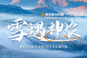 12.27/元旦1.1【雪遇神农4天】12-2月每周六/春节：神农架 滑雪VIP小团 邂逅雪国秘境森林 打卡大九湖冬韵