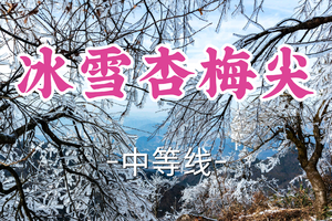 冰雪季！转发半价！即将成团！周六12.20【宜山上车-冰雪杏梅尖13公里】|登富阳第一高峰——杏梅尖