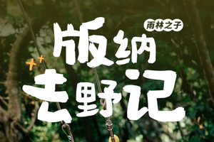 【雨林之子·版纳去野记5日】12-3月/春节：版纳&普洱两地解散+雨林秘境+曼听公园+野象谷+傣族园+中科院植物园