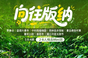 12.27成行【象往版纳5天】1-12月/春节：野象谷 勐泐大佛寺｜中科院植物园｜雨林徒步探秘｜曼远傣族村寨｜曼听公园