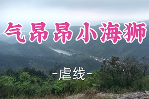 成团！89元起！年初六2.22多利安领队【宜山+松江上车-气昂昂小海狮28公里】|穿越竹海银杏，登顶奇岩，揽尽众山小