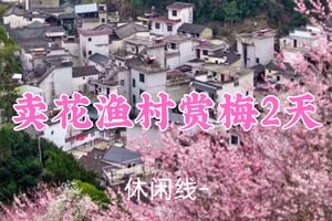 成行！419元起！2.28-3.1【卖花渔村赏梅2天】先春探梅卖花渔村，瞻淇村非遗鱼灯巡游，古老村落阳产土楼