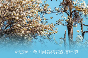 春季赏花！【寻春纪·金川梨花4天】 3-4月：万树金川雪，百里小环春