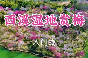 即将成团！79元起！周六2.28【宜山+松江上车-西溪湿地赏梅】|江南春色已至，西溪湿地梅花盛开！