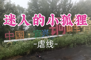 即将成团！79元起！周日3.1【世纪上车-迷人的小狐狸36公里】| 小众原始，适合老驴强驴，越野跑拉练备赛！