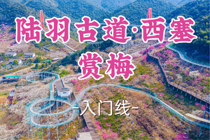 即将成团！89元起！年初七2.23十柒领队【宜山+松江上车-陆羽古道+西塞赏梅】|打卡原乡小镇梅花，徒步陆羽古道