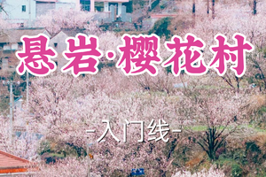 即将成团！89元起！周日3.1【世纪上车-悬岩·樱花村9公里】|春日徒步四明山，探秘悬岩樱桃花海