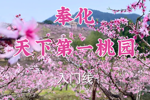 即将成团！79元起！周日3.1【世纪上车-奉化天下第一桃园12公里】|季节限定！探古道，赏桃花